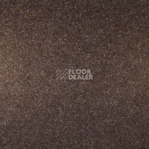 Ковровая плитка Tecsom Tapisom Modul Brown Modul 418700505 00013 фото 1 | FLOORDEALER
